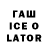 Псилоцибиновые грибы прущие грибы Wes Taylor